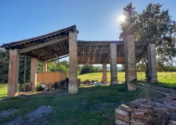 Azienda agricola Gazzola - foto 6