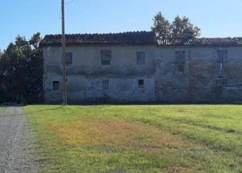 Azienda agricola Gazzola - foto 23