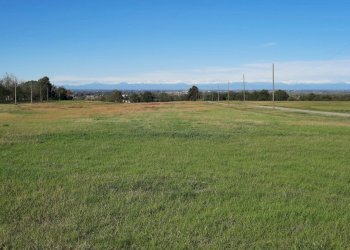 Azienda agricola Gazzola - foto 25