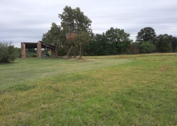 Azienda agricola Gazzola - foto 26