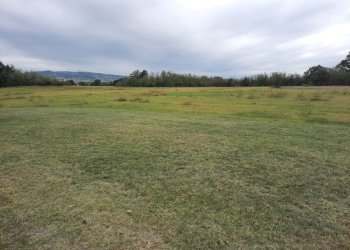 Azienda agricola Gazzola - foto 27