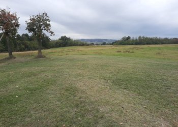 Azienda agricola Gazzola - foto 28