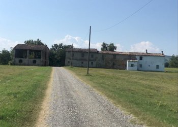 Azienda agricola Gazzola - foto 29