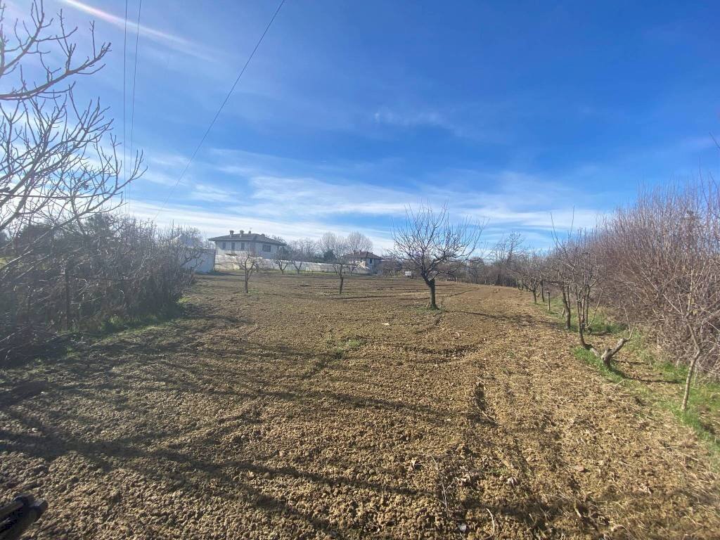 terreno - Terreno agricolo via del Porto, Carmagnola - foto 2