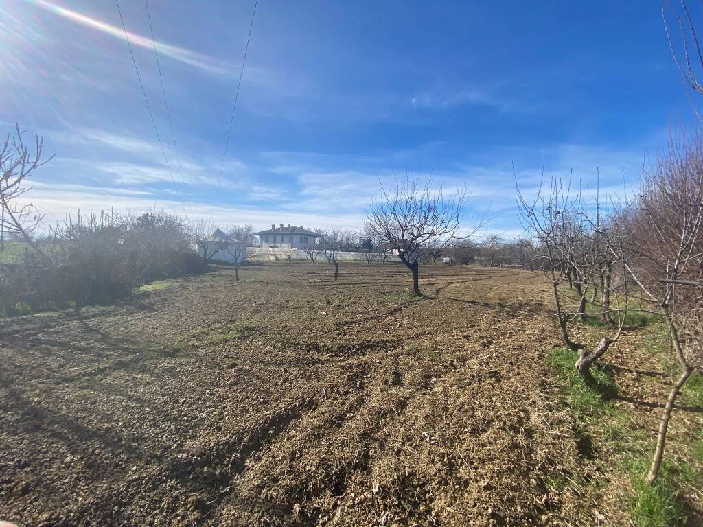 terreno - Terreno agricolo via del Porto, Carmagnola - foto 3