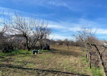 terreno - Terreno agricolo via del Porto, Carmagnola - foto 7