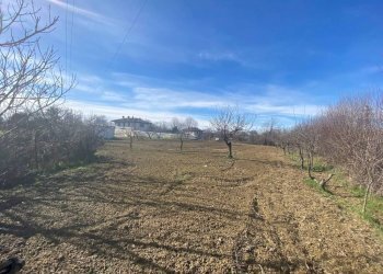 terreno - Terreno agricolo via del Porto, Carmagnola - foto 11