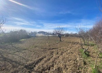 terreno - Terreno agricolo via del Porto, Carmagnola - foto 12