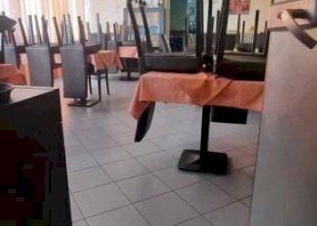 Interno non residenziale - Bar Tavola Calda - Fredda via Sestriere, 12, Moncalieri - foto 4