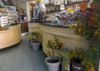 Interno non residenziale - Bar Tavola Calda - Fredda via Sestriere, 12, Moncalieri - foto 7