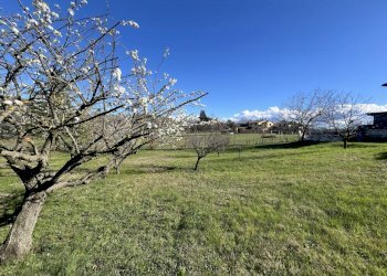 IMG_5607.jpg - Terreno agricolo Via Tiola, Valsamoggia - foto 1