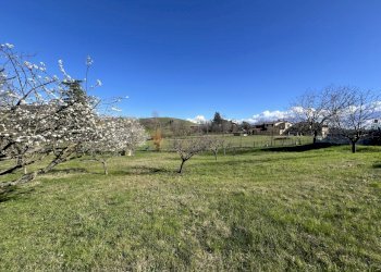 IMG_5608.jpg - Terreno agricolo Via Tiola, Valsamoggia - foto 2