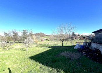 IMG_5602.jpg - Terreno agricolo Via Tiola, Valsamoggia - foto 3