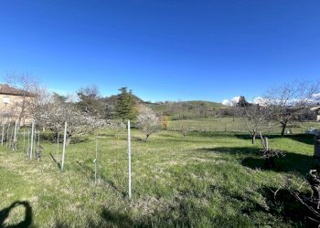 IMG_5605.jpg - Terreno agricolo Via Tiola, Valsamoggia - foto 4