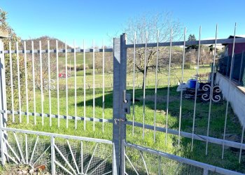 IMG_5610.jpg - Terreno agricolo Via Tiola, Valsamoggia - foto 5