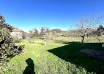 IMG_5601.jpg - Terreno agricolo Via Tiola, Valsamoggia - foto 6