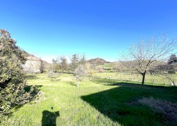 IMG_5603.jpg - Terreno agricolo Via Tiola, Valsamoggia - foto 7