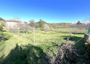 IMG_5604.jpg - Terreno agricolo Via Tiola, Valsamoggia - foto 8