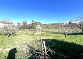 IMG_5606.jpg - Terreno agricolo Via Tiola, Valsamoggia - foto 9