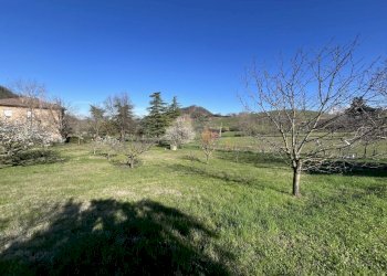 IMG_5609.jpg - Terreno agricolo Via Tiola, Valsamoggia - foto 10