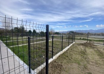 IMG_3117.jpg - Terratetto - Terracielo Via Baban 24, Ameglia - foto 16