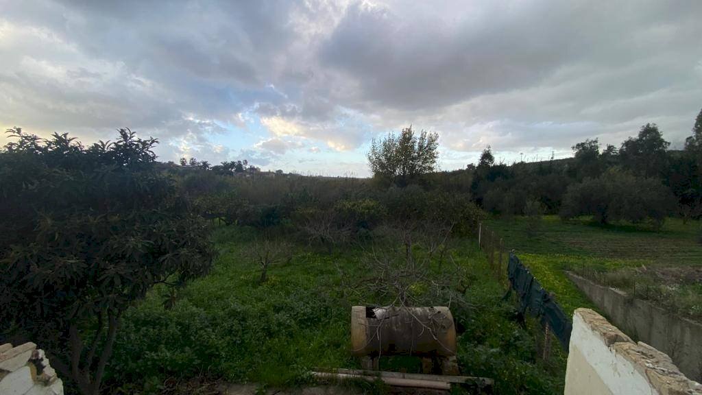 Terreno - Terreno agricolo via Madonna del Ponte, Partinico - foto 2