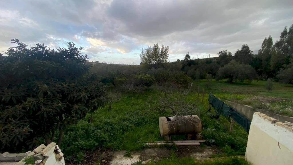 Terreno - Terreno agricolo via Madonna del Ponte, Partinico - foto 3