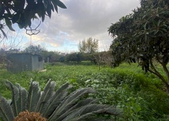 Terreno - Terreno agricolo via Madonna del Ponte, Partinico - foto 1