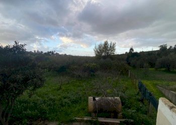 Terreno - Terreno agricolo via Madonna del Ponte, Partinico - foto 2