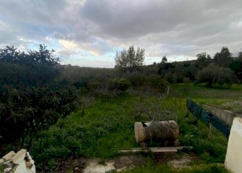 Terreno - Terreno agricolo via Madonna del Ponte, Partinico - foto 3