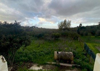 Terreno - Terreno agricolo via Madonna del Ponte, Partinico - foto 8