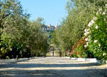 20160803_Riomoro_Countryhouse_168_web.jpg - Casa indipendente Colonnella - foto 15