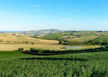 20160803_Riomoro_Countryhouse_208_web.jpg - Casa indipendente Colonnella - foto 19