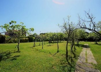 Villa Venezia - foto 20