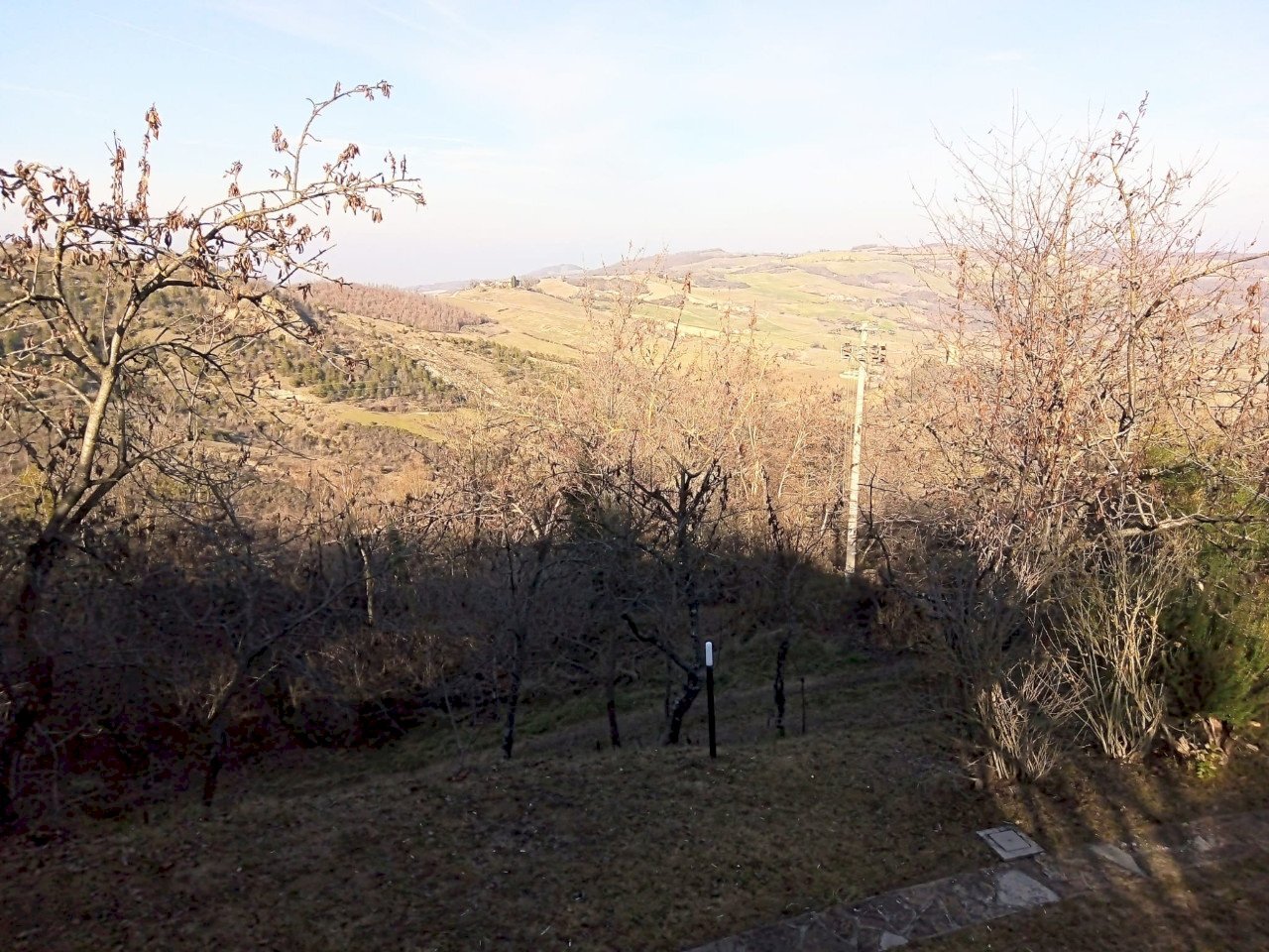 Rustic Travo - photo 3