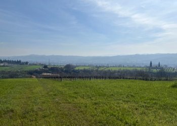 Casale Vignola - photo 7