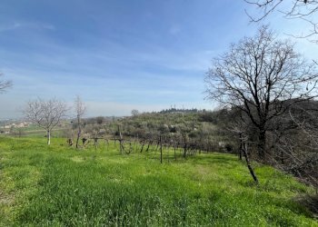 Casale Vignola - photo 8