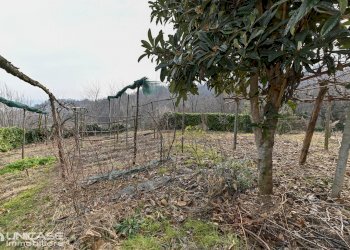 Porzione di casa Via San Vincenzo, 119, Bibiana - foto 29