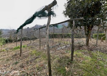 Porzione di casa Via San Vincenzo, 119, Bibiana - foto 30