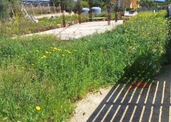 Terreno edificabile CONTRADA SPINAZZA, Scicli - foto 1