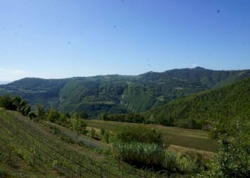 Vista - Rustico Regione Vengore S.N.C., Roccaverano - foto 2