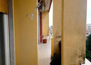 APPARTAMENTO - Trilocale via San Francesco, San Giorgio del Sannio - foto 12