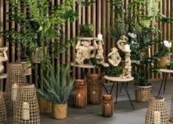 images (36).jpg - Non Alimentare Traversa 10ª Via Romana, Capannori - foto 4