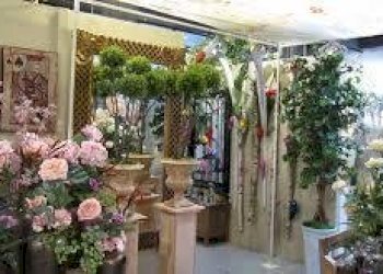 images (39).jpg - Non Alimentare Traversa 10ª Via Romana, Capannori - foto 7