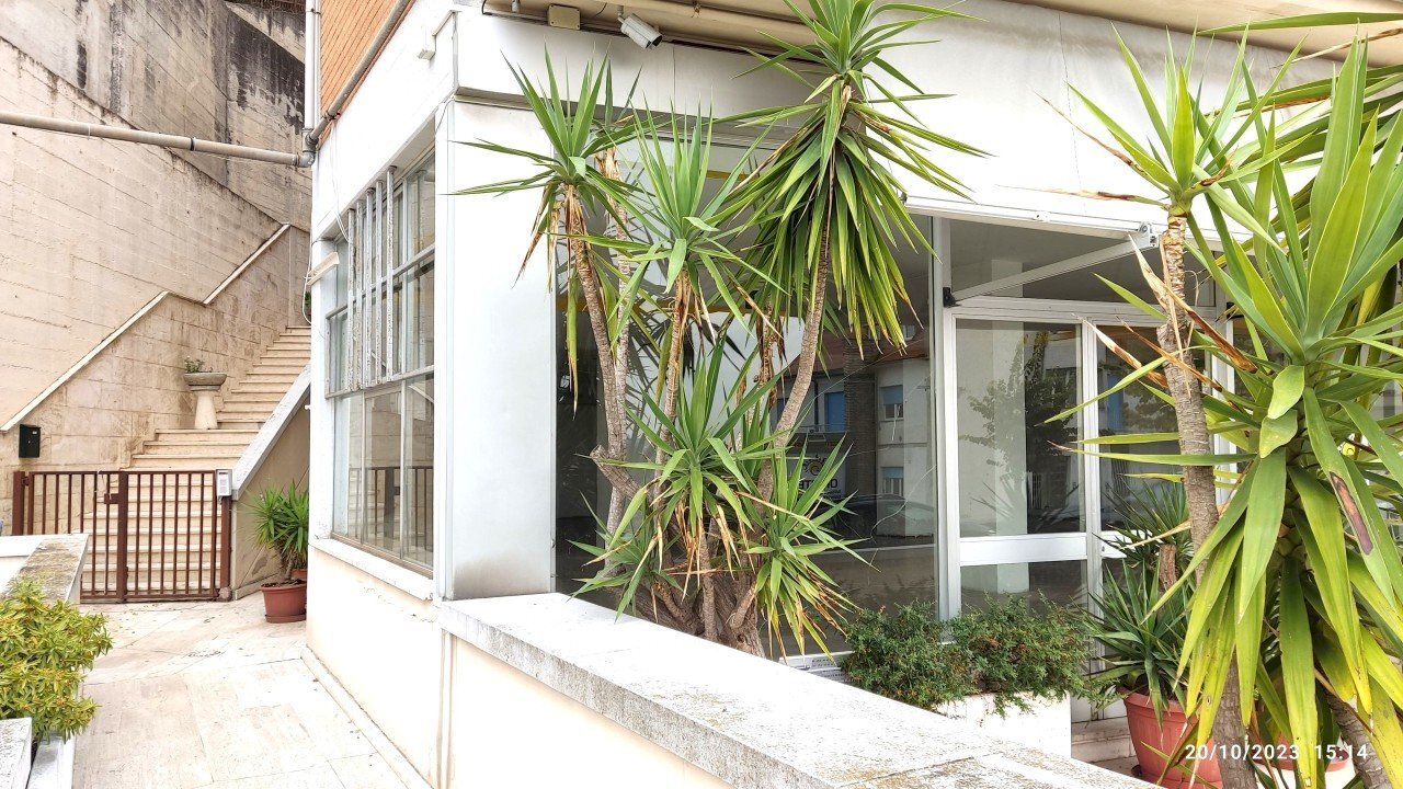 IMG_20231020_151432.jpg - Locale Commerciale via elpidien, Montegranaro - foto 2