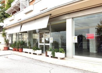 IMG_20231020_151406.jpg - Locale Commerciale via elpidien, Montegranaro - foto 3