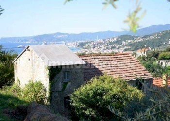 Immagine WhatsApp 2024-03-07 ore 11.51.48_8a804bba - Casa indipendente Via Melina 22, Celle Ligure - foto 5