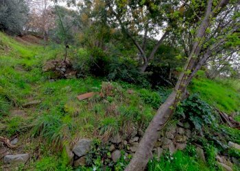 DSCF0838.JPG - Casa indipendente Via Melina 22, Celle Ligure - foto 18