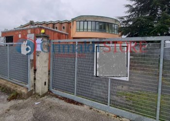 3 - Locale Commerciale Contrada Piana, SP  29, Benevento - foto 3