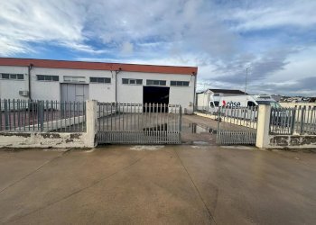 Capannone Silvi - foto 3